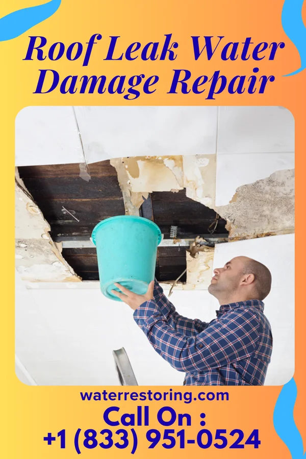 Roof Leak Water Damage Repair in Scottsville, TX